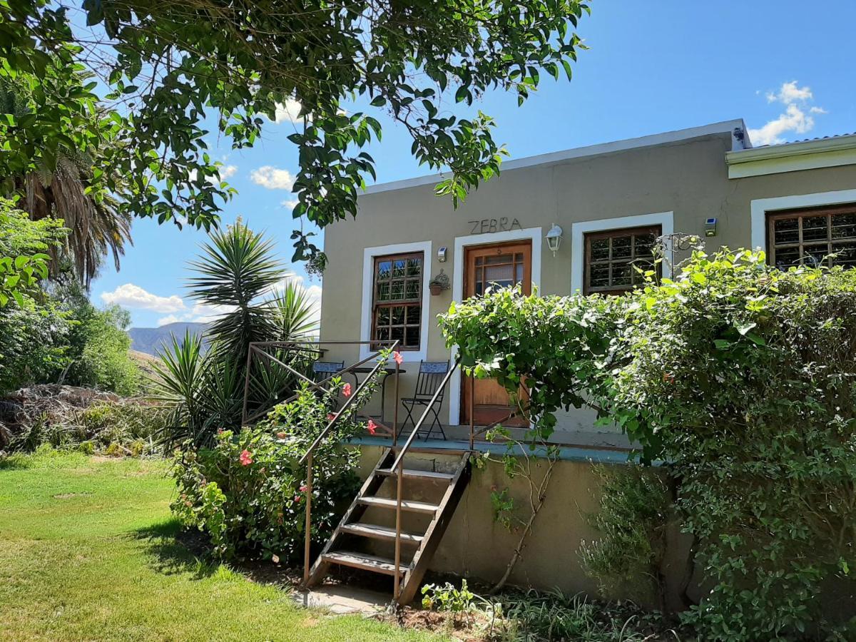 Karoo Life B&B Calitzdorp Exterior photo